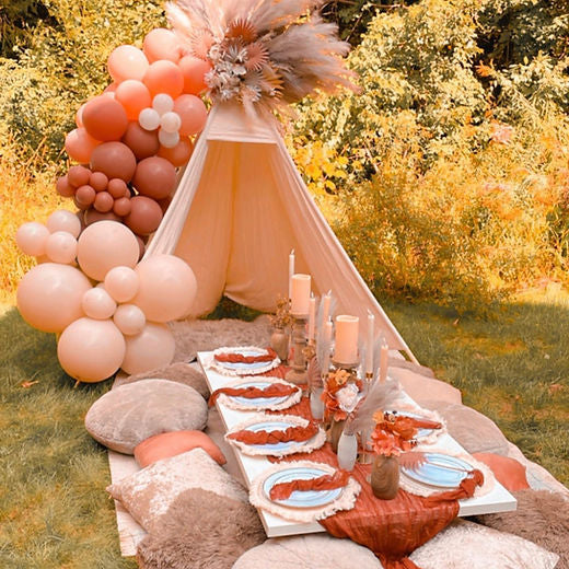 Luxury Boho Picnic