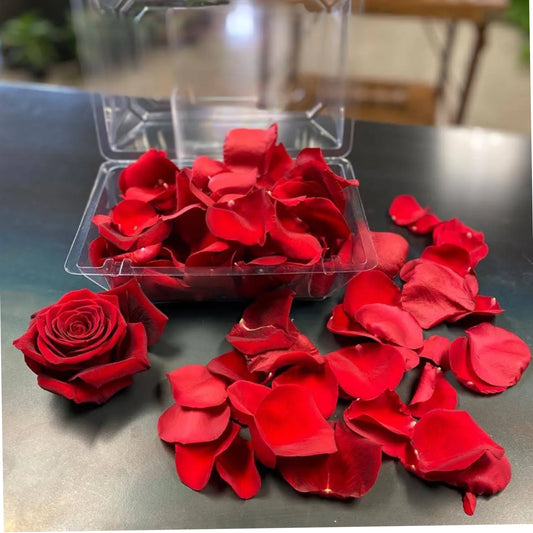 Red Rose Petals